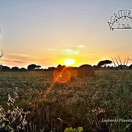 Agriturismo San Matteo ตาร์กวิเนีย ภายนอก รูปภาพ