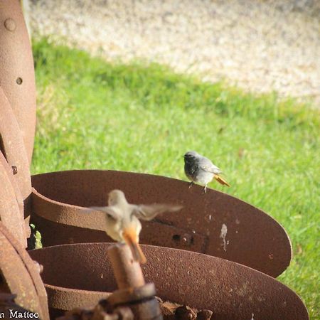 Agriturismo San Matteo ตาร์กวิเนีย ภายนอก รูปภาพ