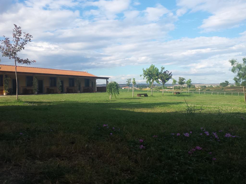 Agriturismo San Matteo ตาร์กวิเนีย ห้อง รูปภาพ