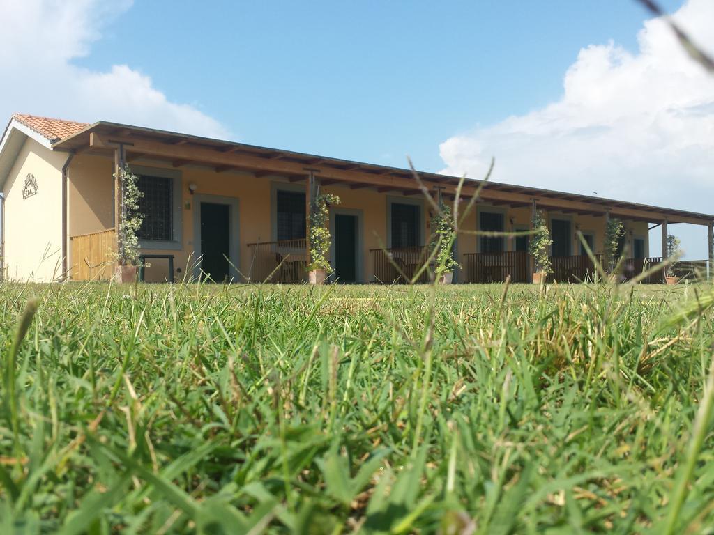 Agriturismo San Matteo ตาร์กวิเนีย ห้อง รูปภาพ