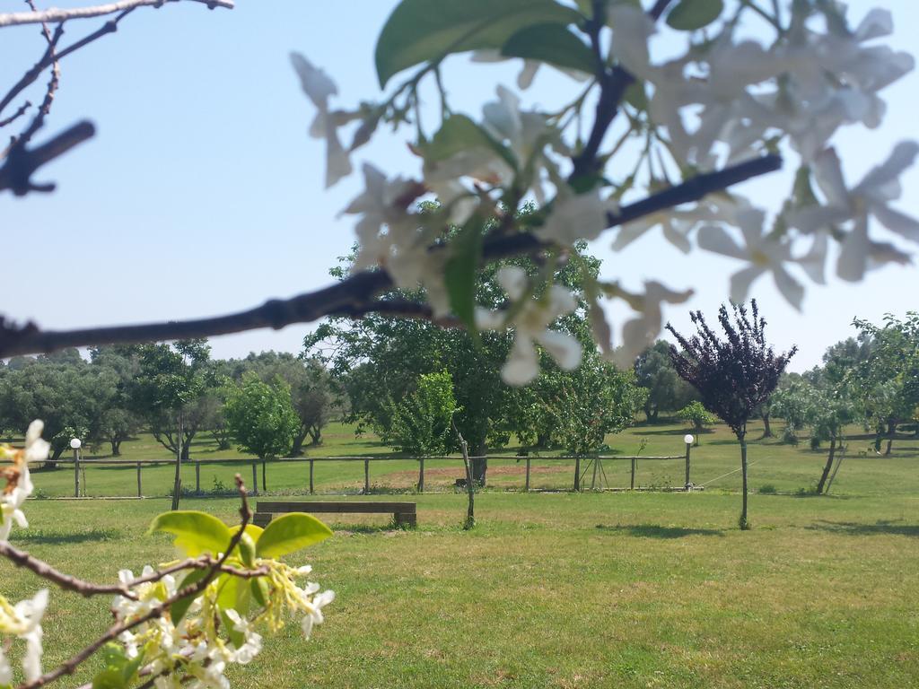 Agriturismo San Matteo ตาร์กวิเนีย ห้อง รูปภาพ