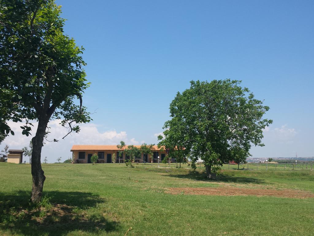 Agriturismo San Matteo ตาร์กวิเนีย ห้อง รูปภาพ
