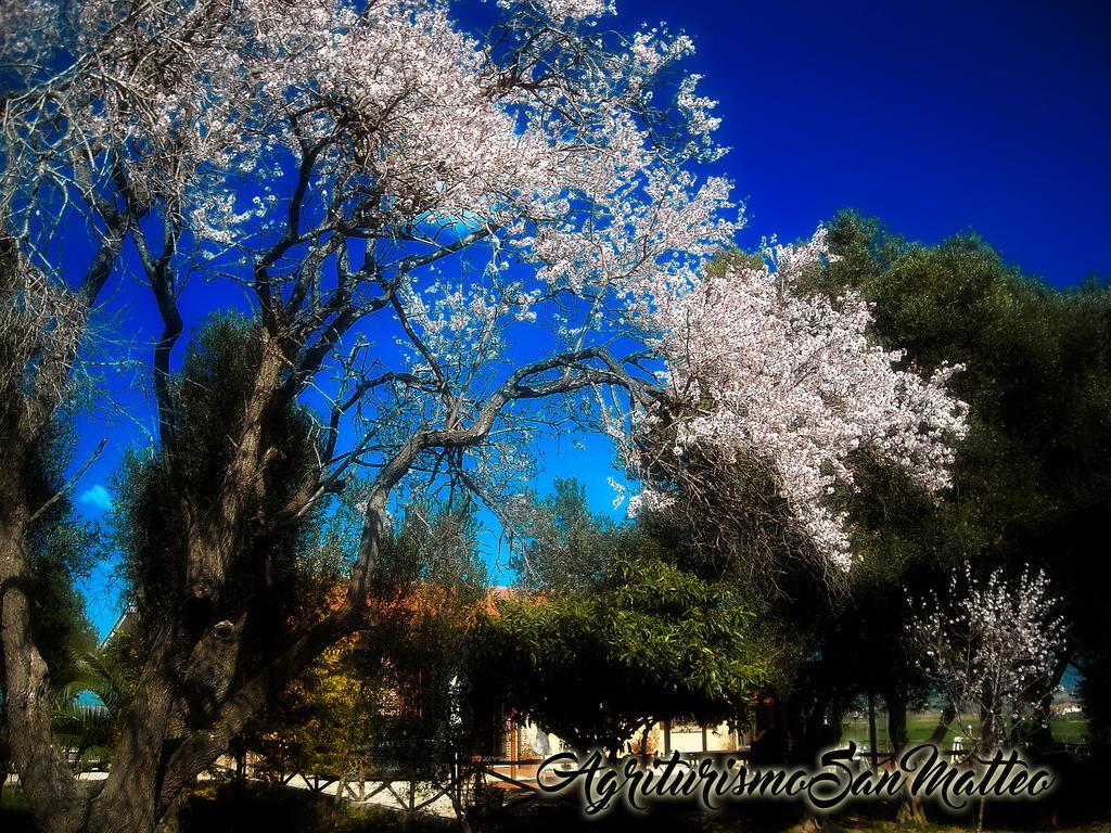 Agriturismo San Matteo ตาร์กวิเนีย ภายนอก รูปภาพ