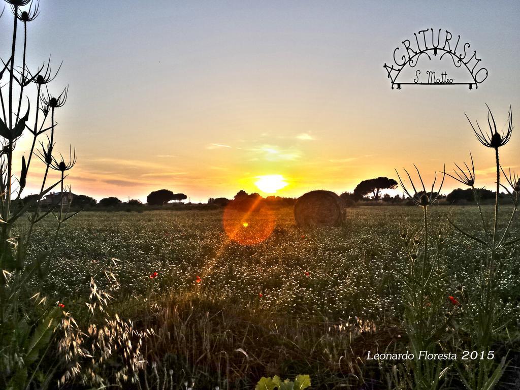 Agriturismo San Matteo ตาร์กวิเนีย ภายนอก รูปภาพ