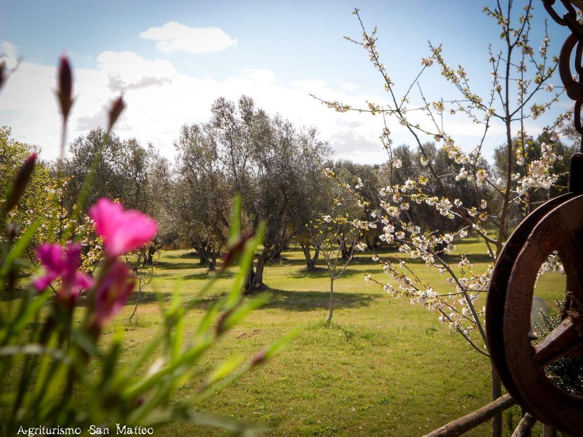 Agriturismo San Matteo ตาร์กวิเนีย ภายนอก รูปภาพ