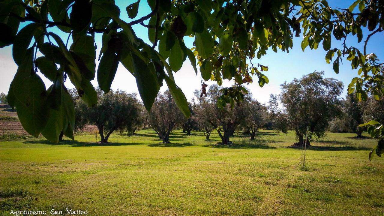 Agriturismo San Matteo ตาร์กวิเนีย ภายนอก รูปภาพ