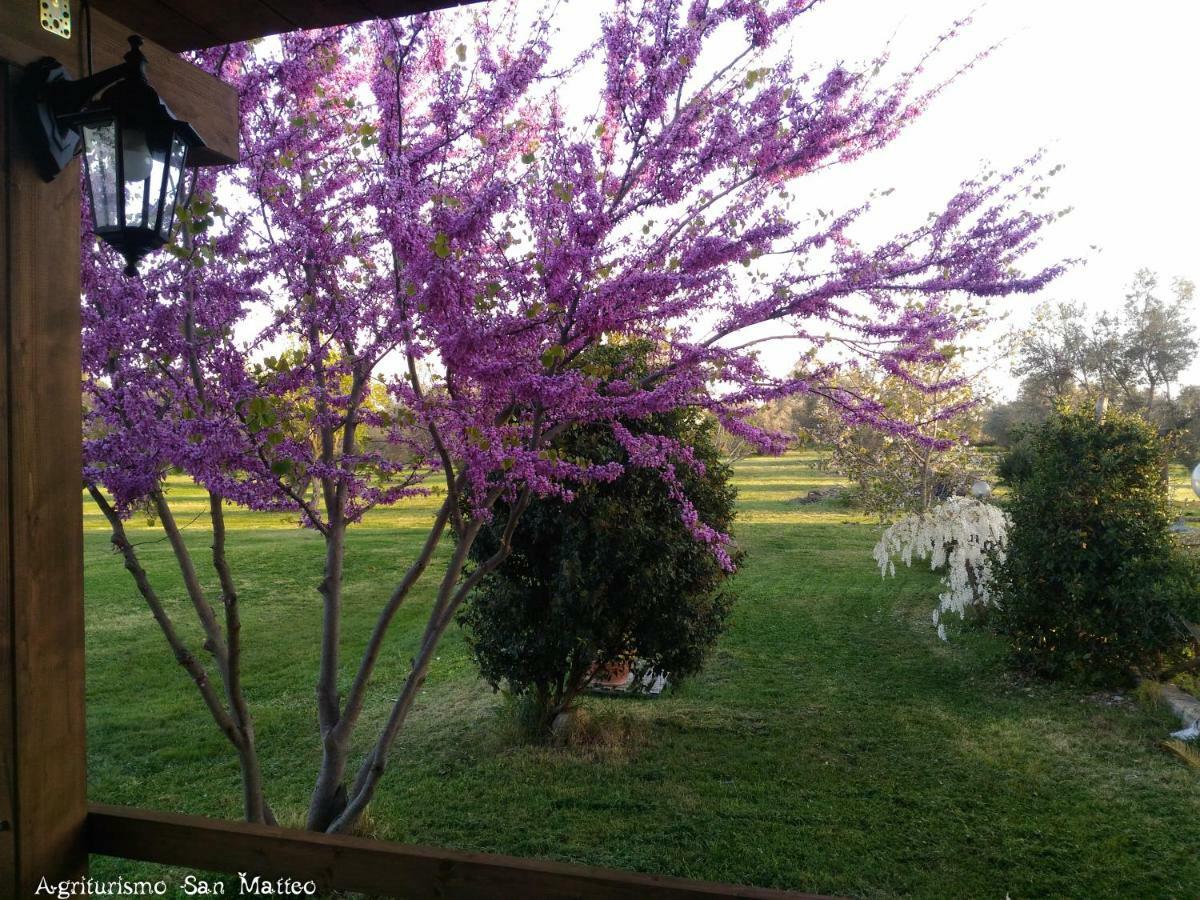 Agriturismo San Matteo ตาร์กวิเนีย ภายนอก รูปภาพ