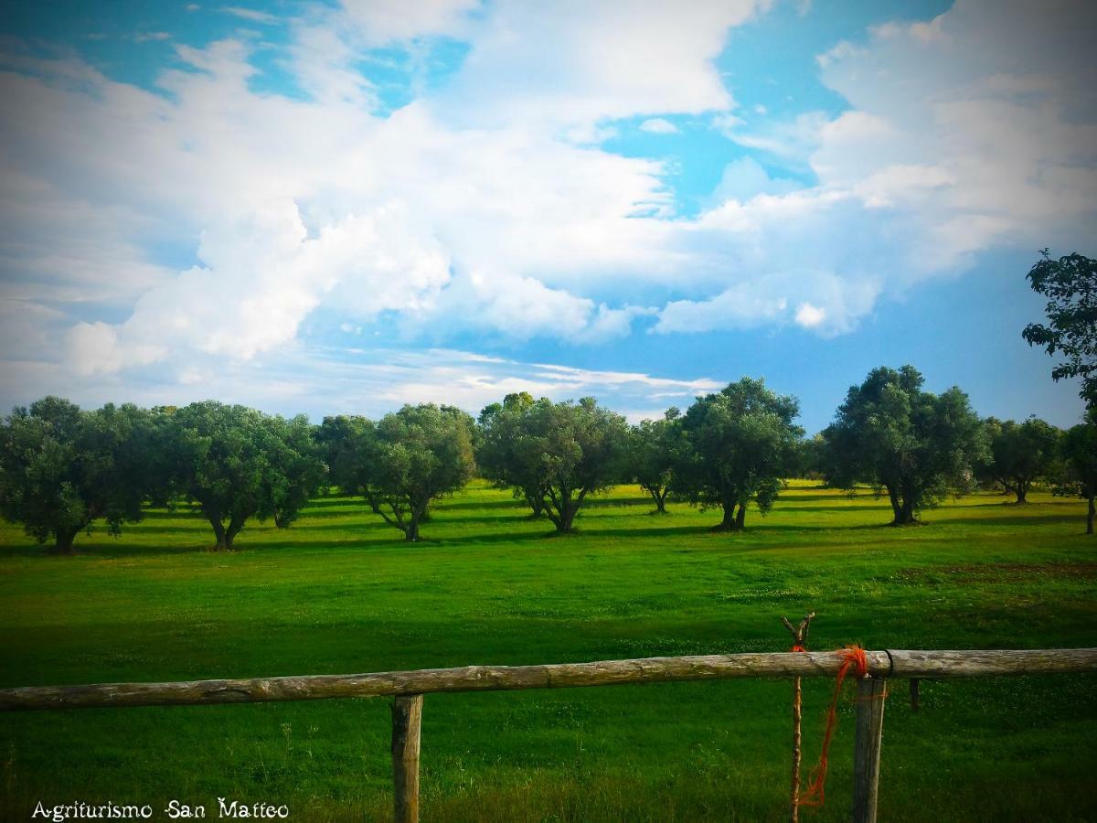 Agriturismo San Matteo ตาร์กวิเนีย ภายนอก รูปภาพ