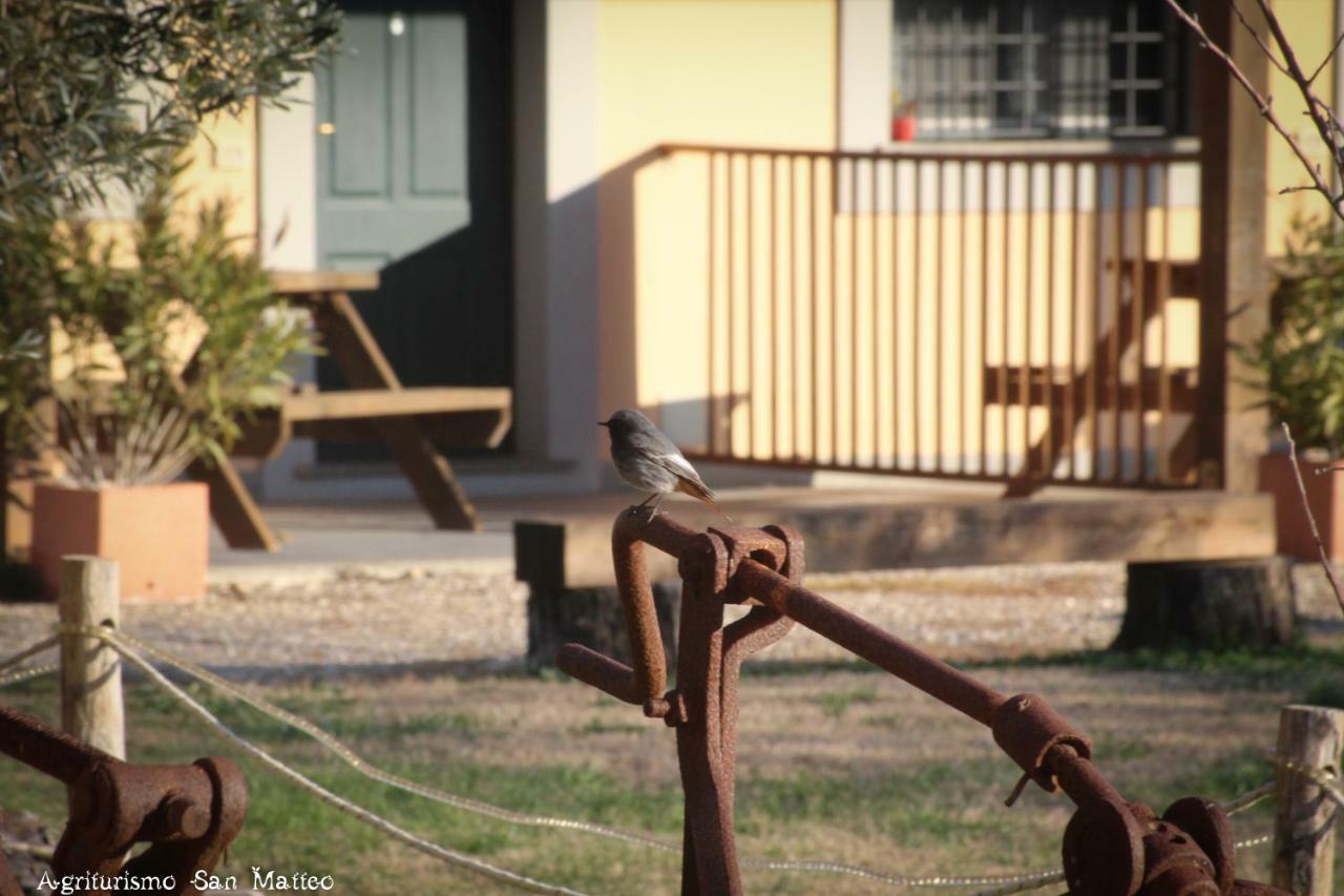 Agriturismo San Matteo ตาร์กวิเนีย ภายนอก รูปภาพ
