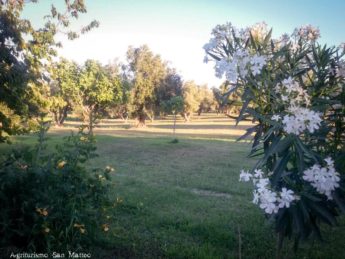 Agriturismo San Matteo ตาร์กวิเนีย ภายนอก รูปภาพ