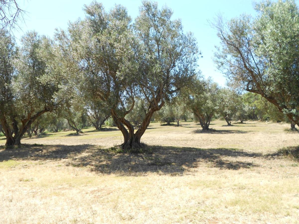 Agriturismo San Matteo ตาร์กวิเนีย ภายนอก รูปภาพ