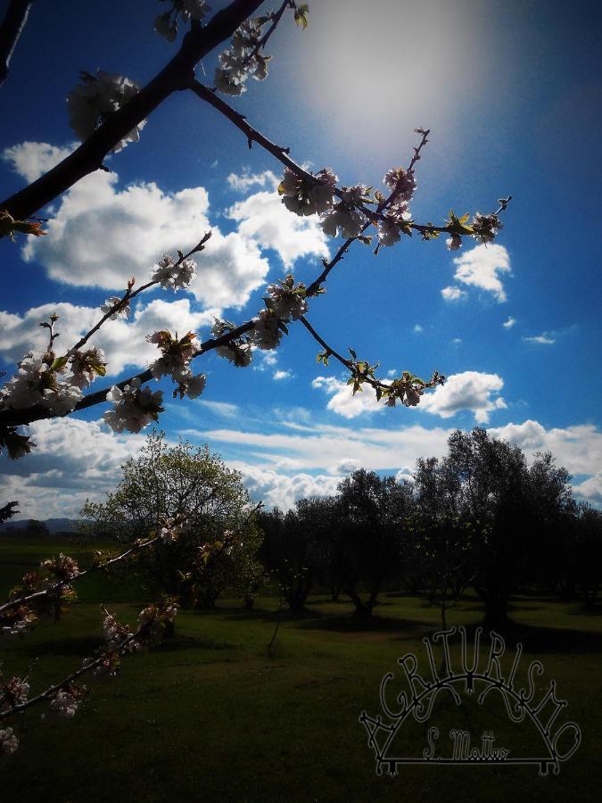 Agriturismo San Matteo ตาร์กวิเนีย ภายนอก รูปภาพ