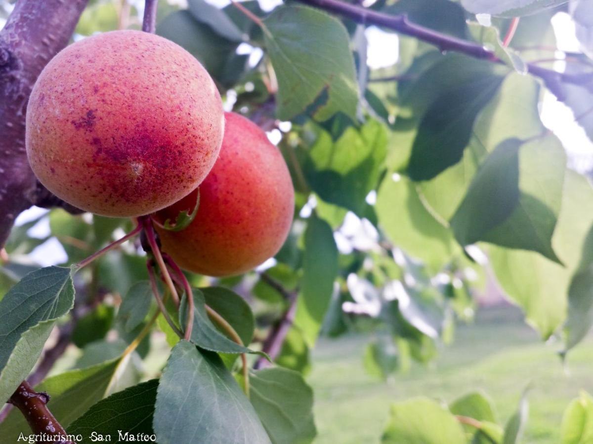 Agriturismo San Matteo ตาร์กวิเนีย ภายนอก รูปภาพ