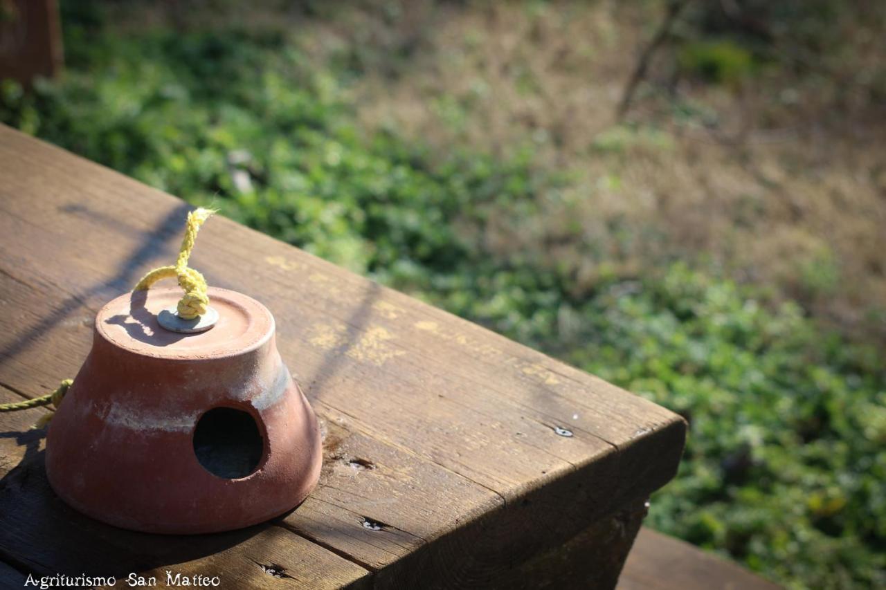 Agriturismo San Matteo ตาร์กวิเนีย ภายนอก รูปภาพ