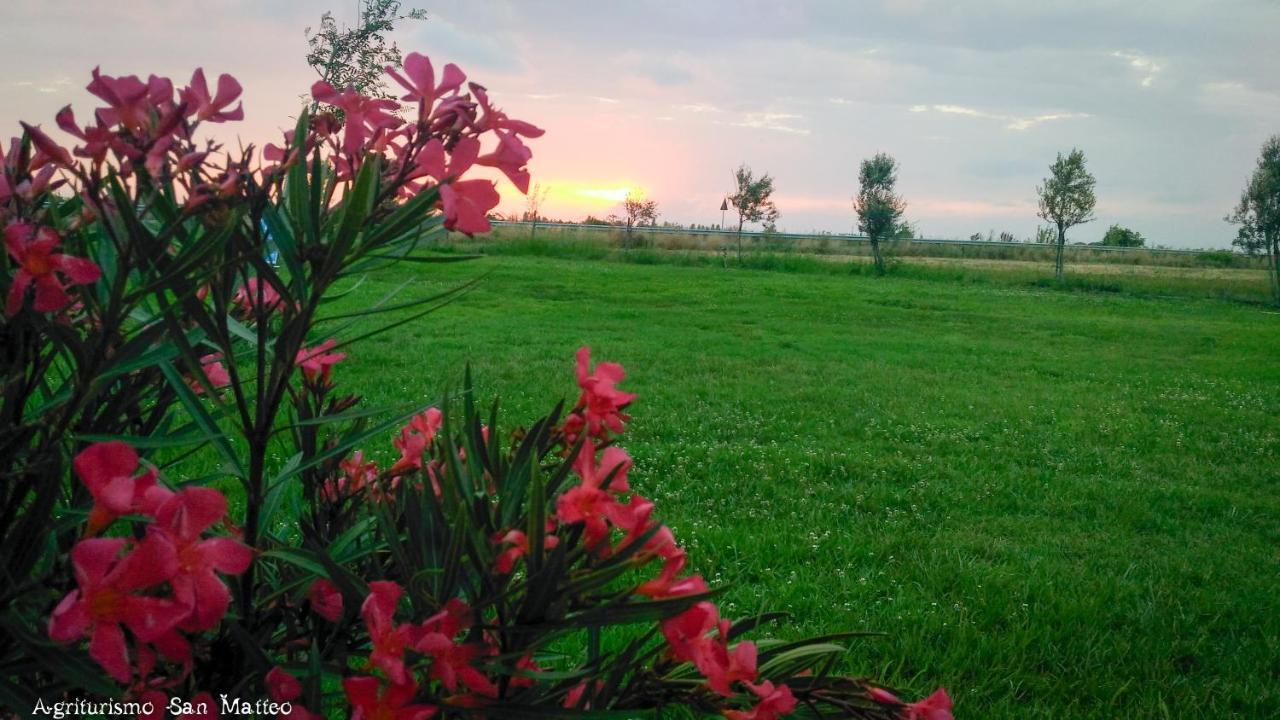 Agriturismo San Matteo ตาร์กวิเนีย ภายนอก รูปภาพ
